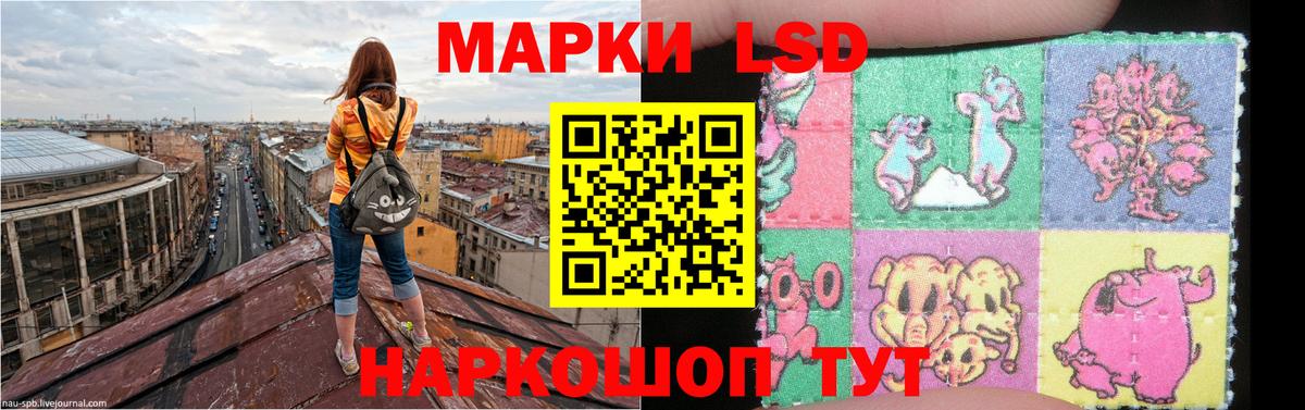 ЛСД экстази ecstasy  LSD-25 экстази  LSD-25 экстази ecstasy  Ртищево  Вход с VPN 