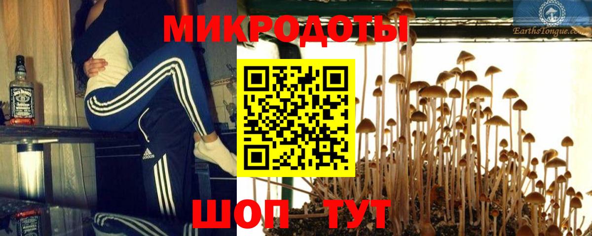 Ртищево  закладка  Вход с VPN  Псилоцибиновые грибы Cubensis 