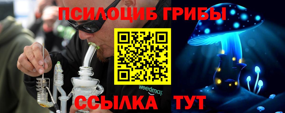 Псилоцибиновые грибы MAGIC MUSHROOMS Ртищево